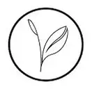 Logo of Kijani Forestry