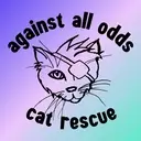 Logo of AGAINST ALL ODDS CAT RESCUE