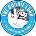 Logo of BRODIE FUND INC