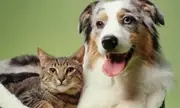 Logo of Humane Society for Southwest Washington