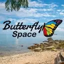 Logo of Butterfly Space