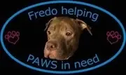 Logo of FREDO HELPING PAWS IN NEED ANIMAL RESCUE INC