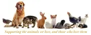 Logo de Animal Talks Inc