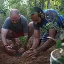 Logo of Sadhana Forest