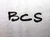 Logo de Brattleboro Common Sense