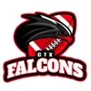 Logo of CTX FALCONS