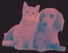 Logo of PET REFUGE INC