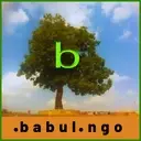 Logo de Babul Films Society NGO Non-Profit