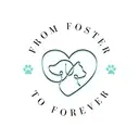 Logo of From Foster to Forever