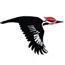 Logo of Northern Virginia Bird Alliance