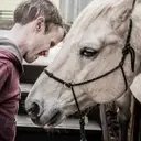 Logo of HORSES ADAPTIVE RIDING AND THERAPY