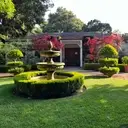 Logo of SAN MATEO ARBORETUM SOCIETY INC