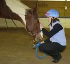 Logo of Therapeutic Riding Institute