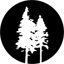 Logo of North American Students of Cooperation