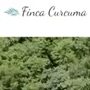 Logo of Tierra Curativa Limitada