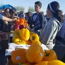 Logo de Az Farm Fresh