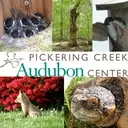 Logo of Pickering Creek Audubon Center