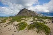 Logo of Ka‘ena Point State Park