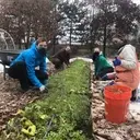 Logo of CitySoil Farm