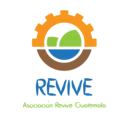 Logo of REVIVE WORLDWIDE INC