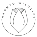 Logo of Nkonzo Wildlife