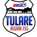 Logo of AMERICAN YOUTH SOCCER ORGANIZATION