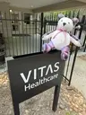 Logo of VITAS Healthcare of Houston