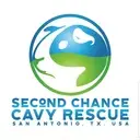 Logo of SECOND CHANCE CAVY RESCUE