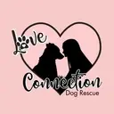 Logo of LOVE CONNECTION DOG RESCUE
