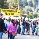 Logo of Issaquah Salmon Days Festival