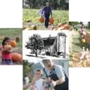 Logo of MSU Tollgate Farm Pumpkinfest