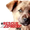Logo of Rescue Express