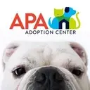 Logo of Animal Protective Association of Missouri