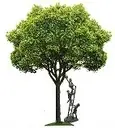 Logo of The Learning Tree Cultural Preparatory School