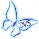 Logo of DOMESTIC VIOLENCE SERVICES INC