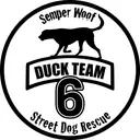 Logo of DUCK TEAM 6