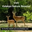 Logo of kalakpa club