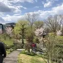 Logo of NORMANDALE COMMUNITY COLLEGE FOUNDATION--Japanese Garden