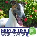 Logo of GREY2K USA Worldwide