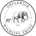 Logo de The David Sheldrick Wildlife Trust USA