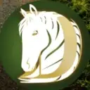 Logo of SWINGIN D HORSE RESCUE
