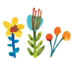 Logo of Wildflower Schools - Massachusetts