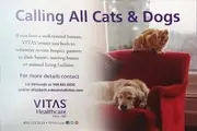 Logo de VITAS Healthcare of Jacksonville