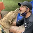 Logo of Southern Comfort Animal Rescue