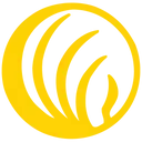 Logo of NAMI-SFV