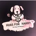 Logo of HUGS FOR HARRY