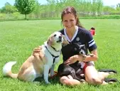 Logo of Young At Heart - Saving Senior Pets!