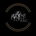 Logo of The African American Initiative Center