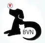 Logo of Buster's Vision Nonprofit, Inc.