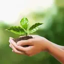 Logo of SUSTAINABLE SANDHILLS